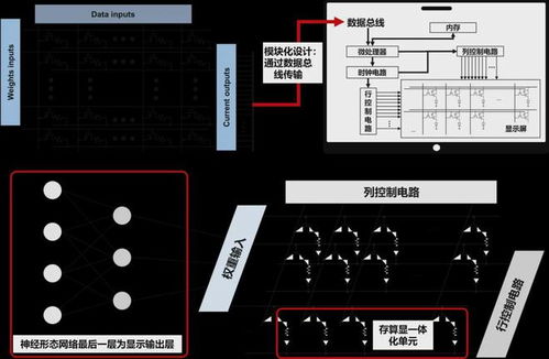 有机智能材料与器件专刊 光电器件的前沿与展望